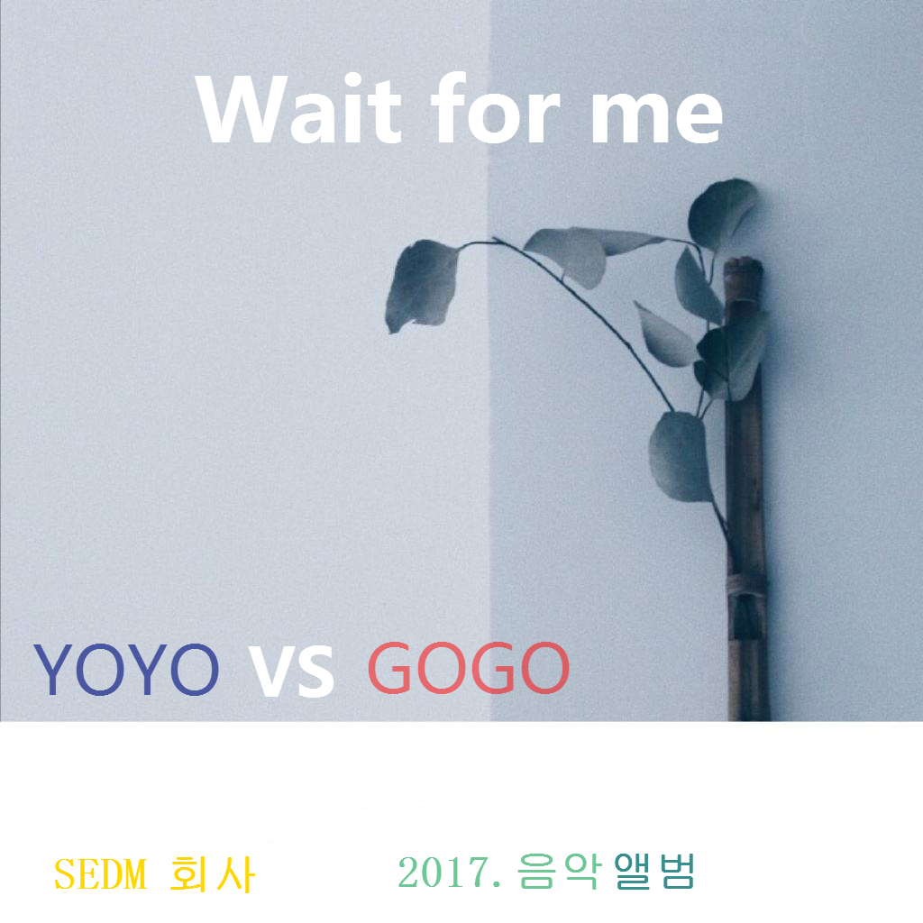 wait for me(韓國YOYO,GOGO2017年發行的音樂專輯)