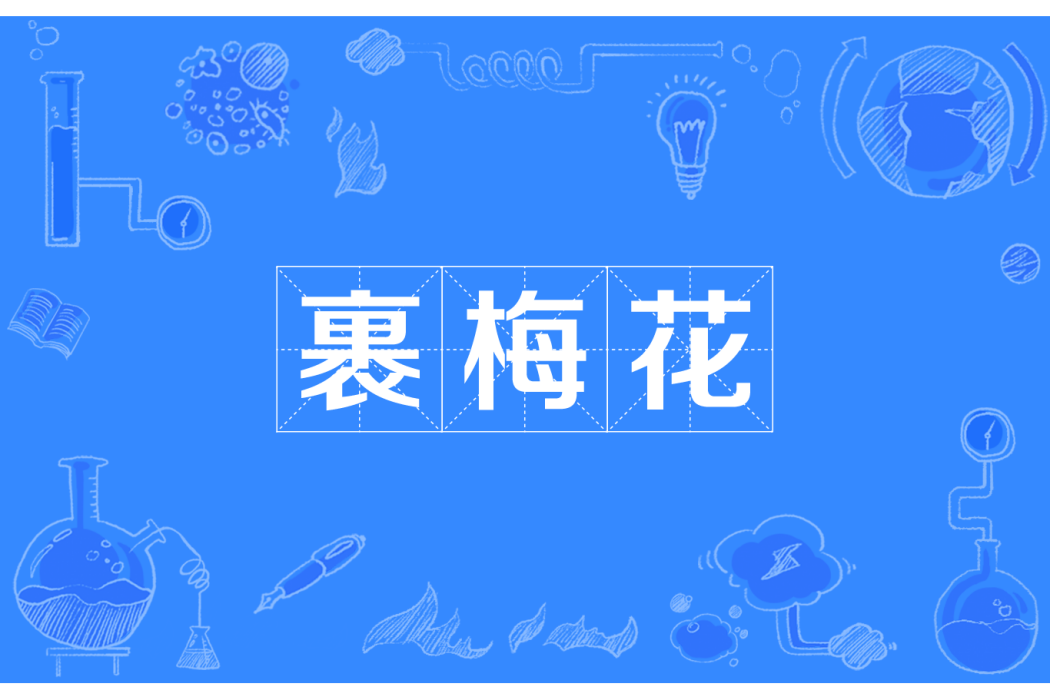 裹梅花