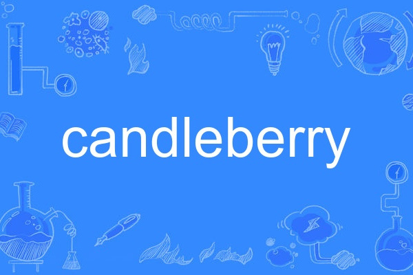 candleberry candleberry