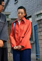 金婚(2007年張國立、蔣雯麗主演電視劇)