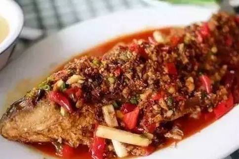 紹子鯽魚 紹子鯽魚