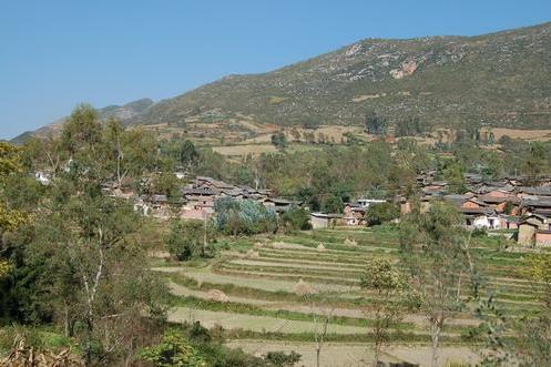 大補蚌村 大補蚌村