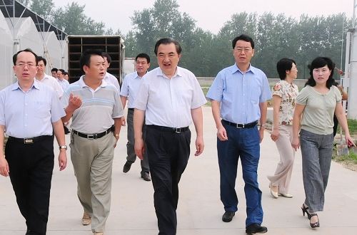 丁解民 丁解民