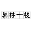 巢林一枝