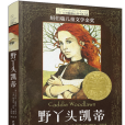 野丫頭凱蒂(2021年晨光出版社出版的圖書)