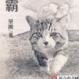 喵霸 喵霸