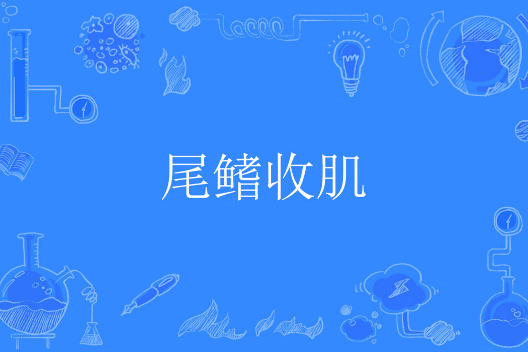 尾鰭收肌 尾鰭收肌