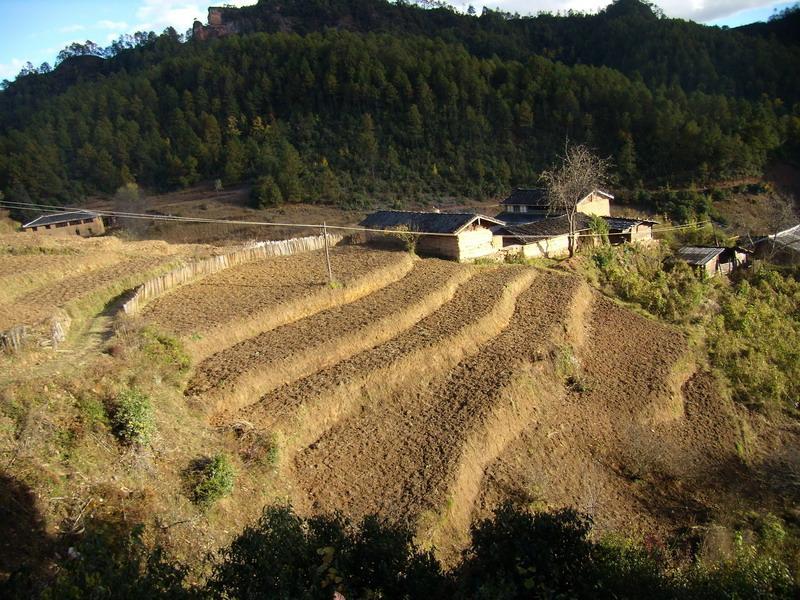 色其的村 色其的村