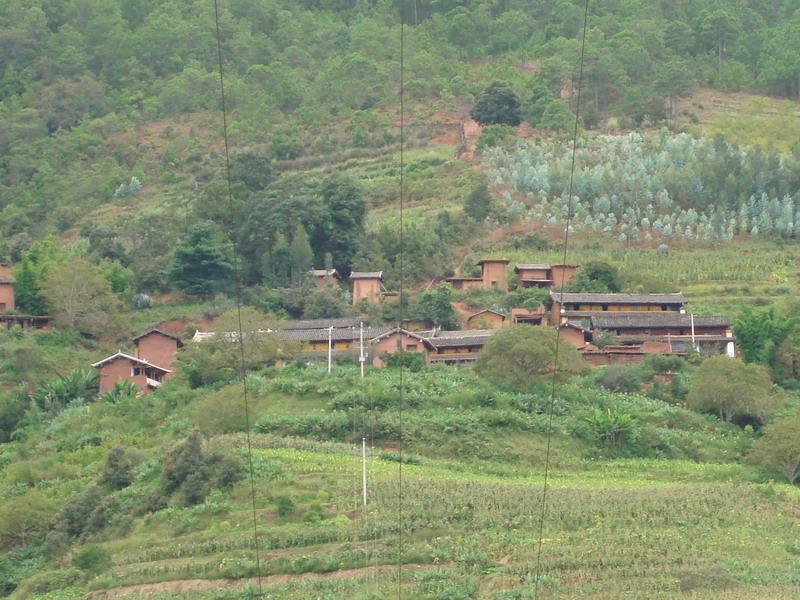 小黑箐村(雲南楚雄州楚雄市紫溪鎮下轄村) 小黑箐村(雲南楚雄州楚雄市紫溪鎮下轄村)