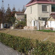 西街村(浙江省紹興市新昌縣澄潭鎮下轄村) 西街村(浙江省紹興市新昌縣澄潭鎮下轄村)