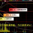 倉位(股票倉位)