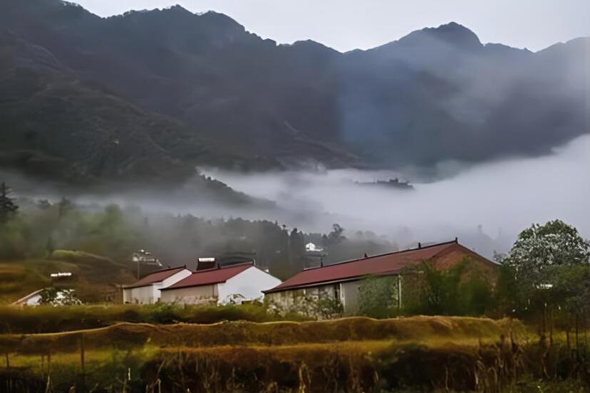 同桃源 同桃源