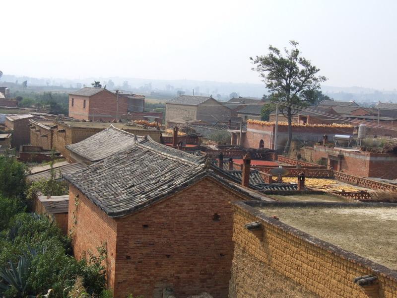 楊小營村 楊小營村