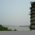 羅塘鄉(江西萬安縣轄鄉) 羅塘鄉(江西萬安縣轄鄉)