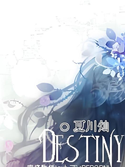 [家教]DESTINY