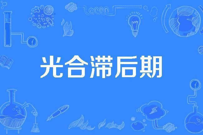 光合滯後期 光合滯後期