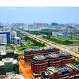 大胡麻村 大胡麻村