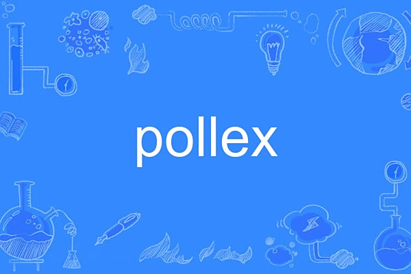 pollex pollex