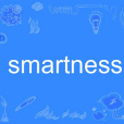 smartness smartness