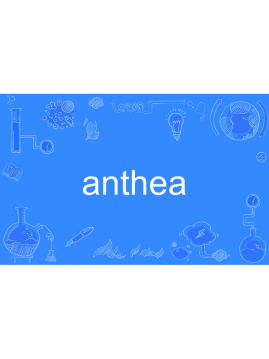 anthea anthea