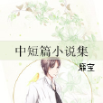 中短篇小說集 中短篇小說集