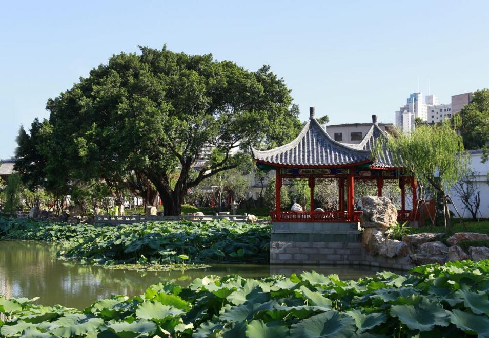 上南公園 上南公園