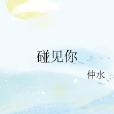 碰見你 碰見你