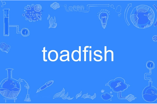 toadfish toadfish