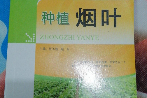 種植菸葉 種植菸葉
