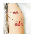 臂臑(頭沖)