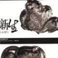 新生(2004年麥田出版的圖書) 新生(2004年麥田出版的圖書)