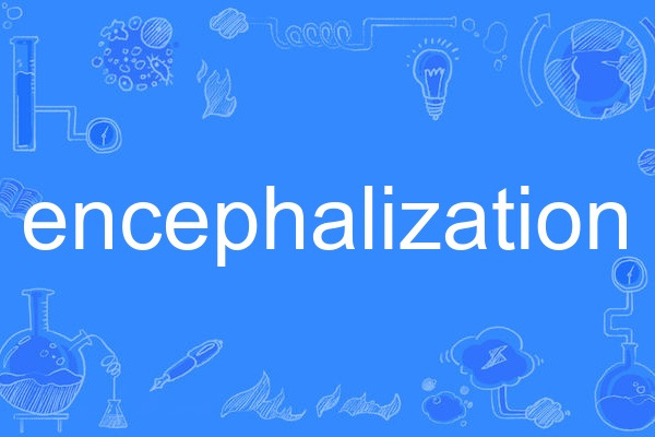 encephalization encephalization