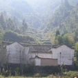 楊山村(浙江省麗水市景寧縣金鐘鄉楊山村) 楊山村(浙江省麗水市景寧縣金鐘鄉楊山村)