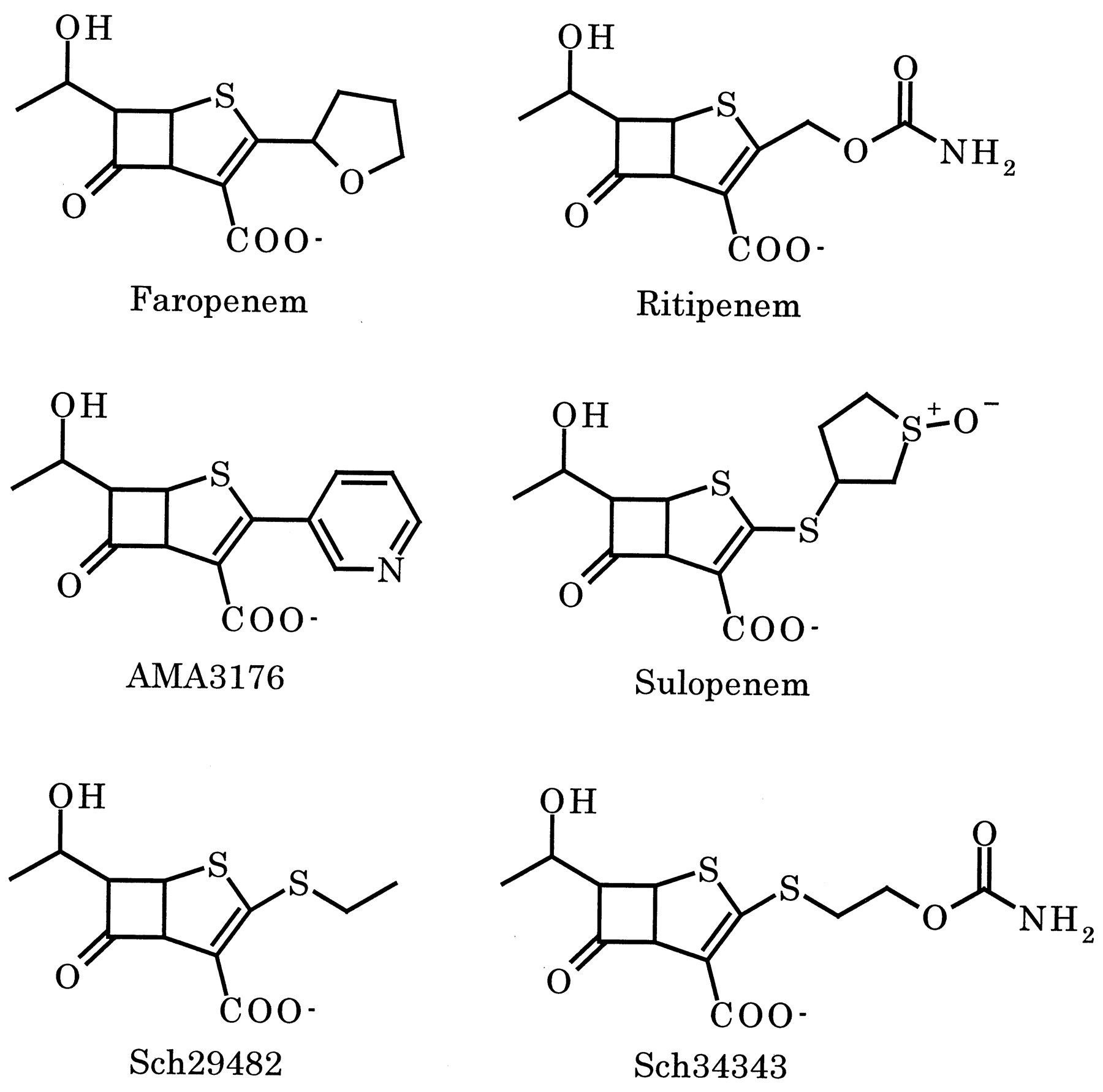 Mechanisms and Their Interplay