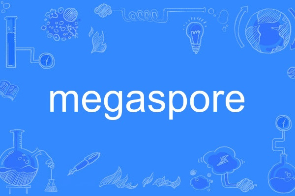megaspore megaspore