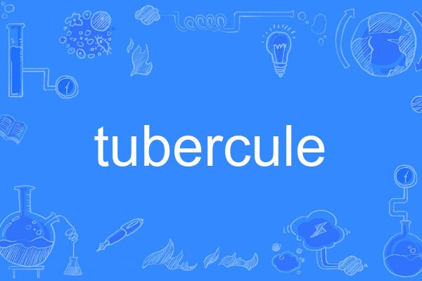 tubercule tubercule