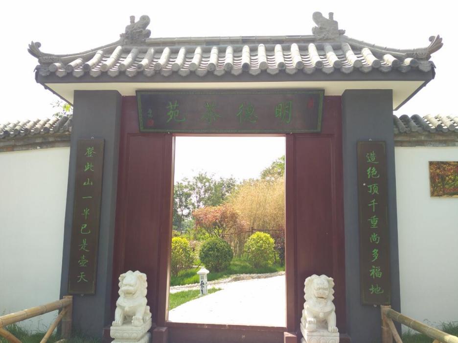 明德茶苑 明德茶苑
