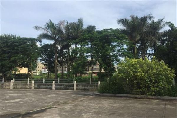 籃頭村 籃頭村