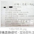 異地戀協定 異地戀協定