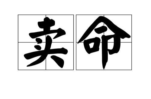 賣命(詞語)