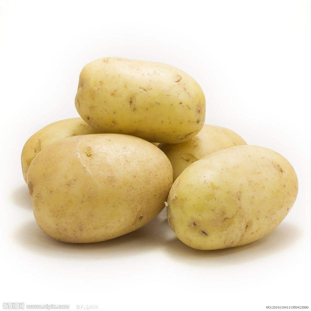 土豆燉排骨