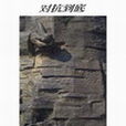 對抗到底 對抗到底