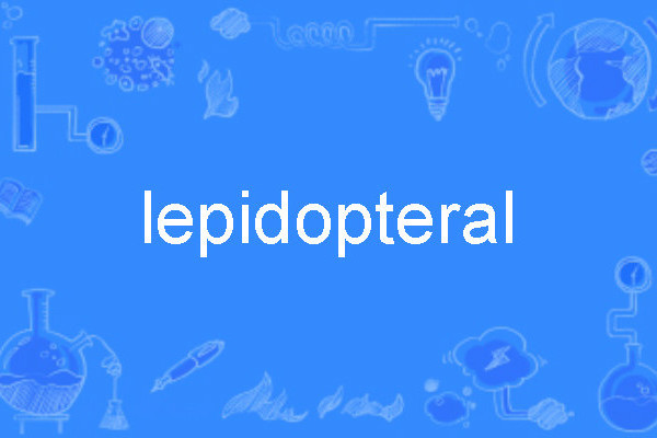 lepidopteral lepidopteral