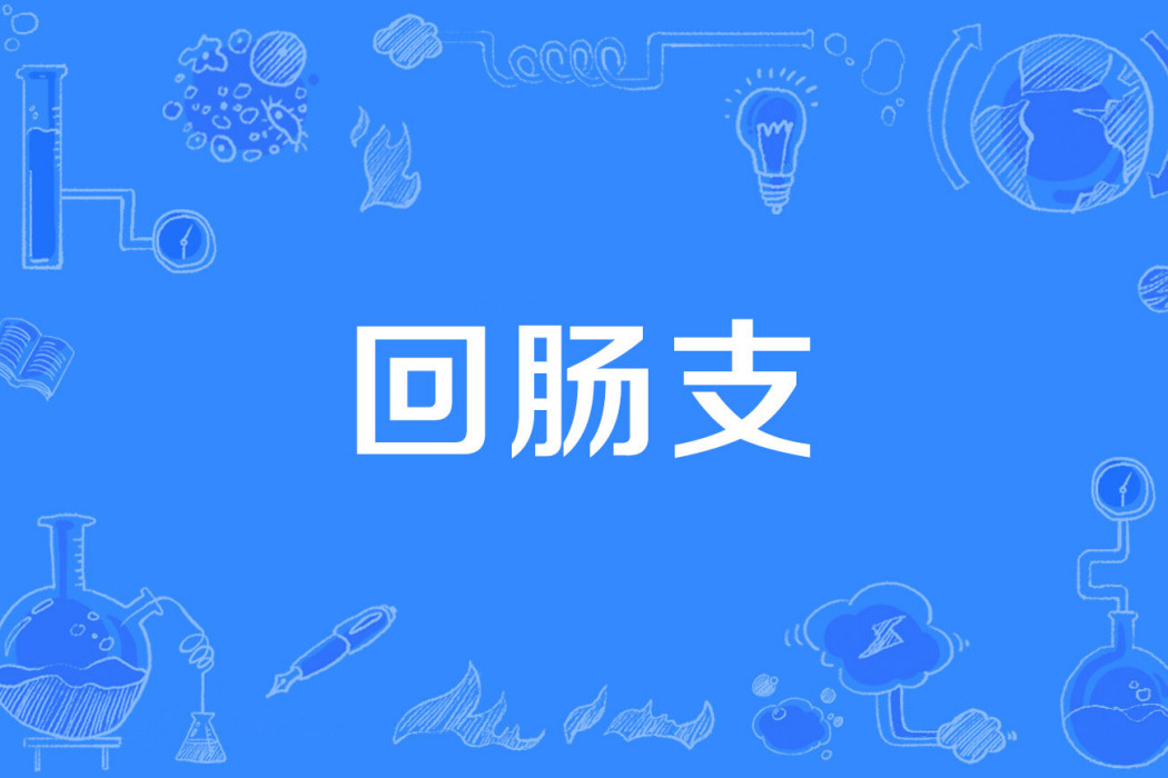 迴腸支 迴腸支