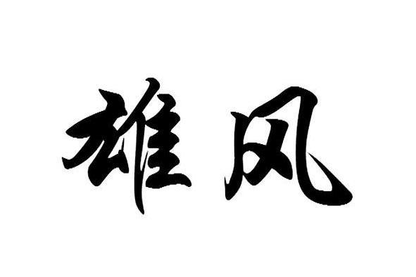 雄風(哈爾濱雄風醫療設備有限公司旗下的精油品牌) 雄風(哈爾濱雄風醫療設備有限公司旗下的精油品牌)