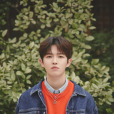 金在奐(韓國男歌手) 金在奐(韓國男歌手)