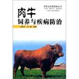 肉牛飼養與疾病防治