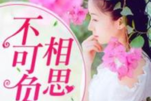 不可負相思 不可負相思