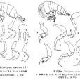 蘇氏蠻戎 蘇氏蠻戎