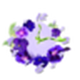 花鐘壁紙